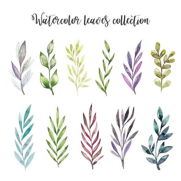 Watercolor leaves set | Premium Vector