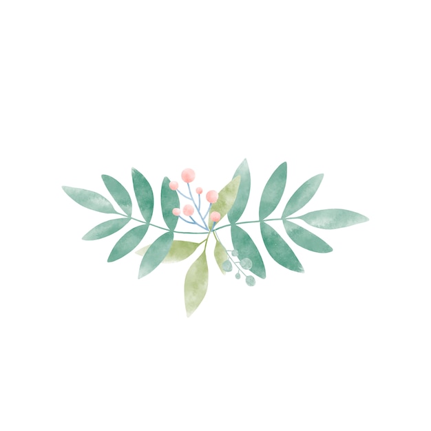 Download Watercolor leaves with berries vector Vector | Free Download