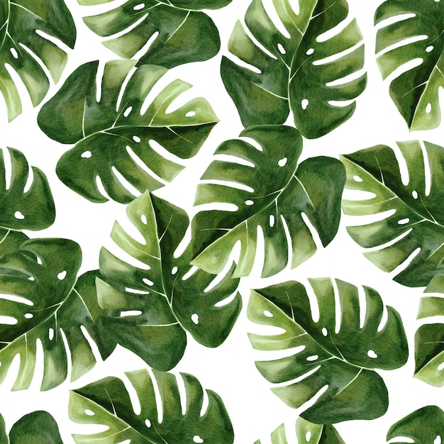 Premium Vector Watercolor monstera leaf seamless pattern