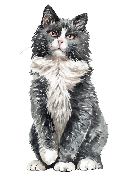 Download Watercolor norwegian forest cat sitting. paint watercolor ...