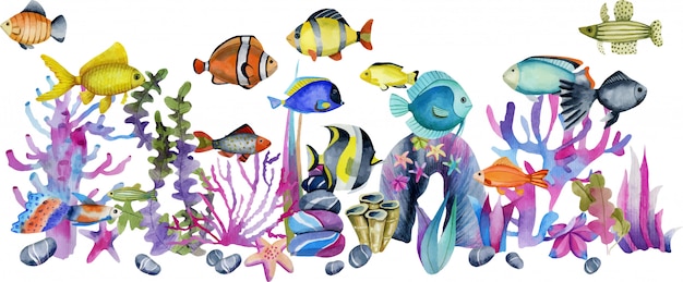 サンゴと海の石のイラストの中で水彩の海洋熱帯エキゾチックな魚 プレミアムベクター