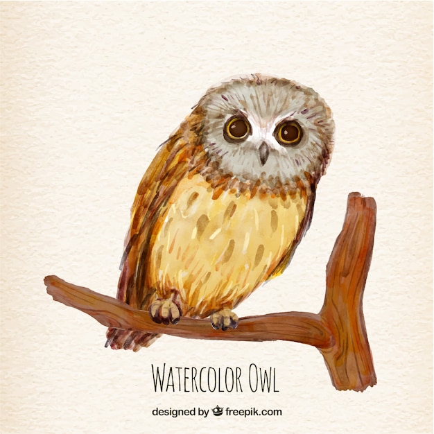 Watercolor owl background leaning on a branch | Free Vector