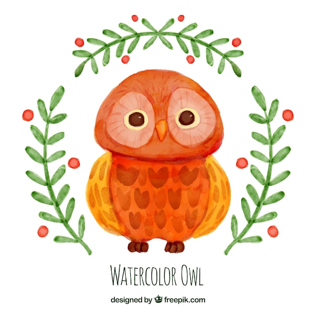 Watercolor owl with branches | Free Vector
