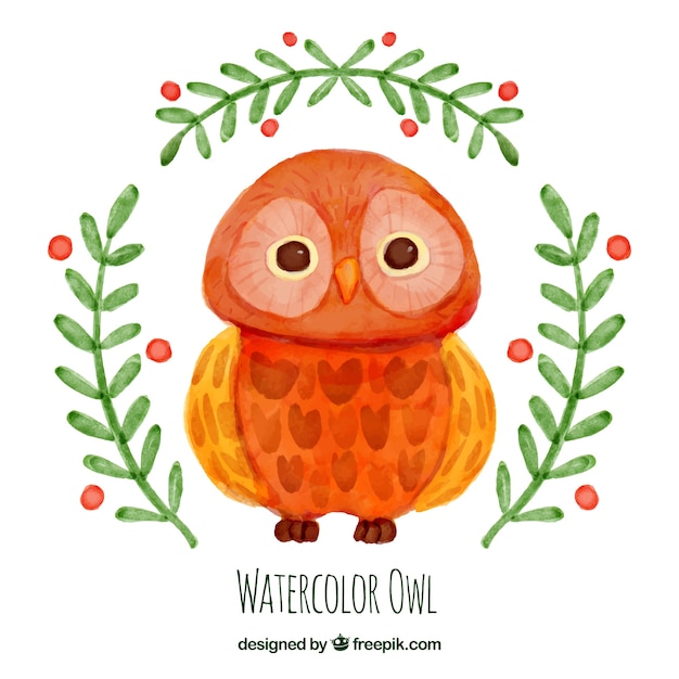 1252+ Watercolor Owl Svg - SVG,PNG,EPS & DXF File Include