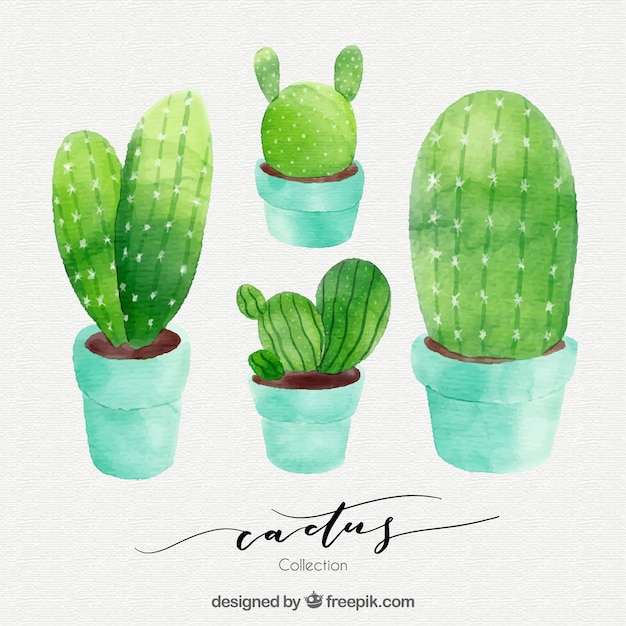 Download Watercolor pack of cactus Vector | Free Download