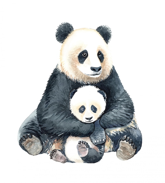 水彩パンダ抱擁赤ちゃんパンダのイラスト プレミアムベクター