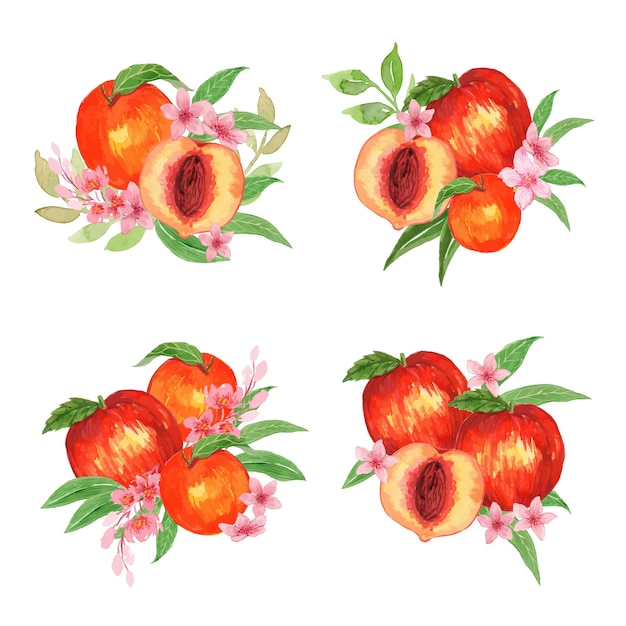 Premium Vector Watercolor Peach Fruit Arrangement Illustration Set 7268