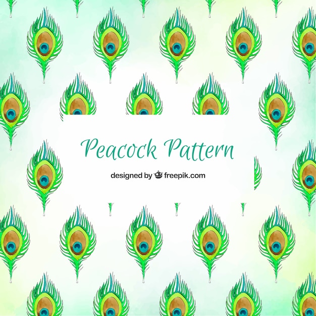 Download Watercolor peacock feather pattern collection | Free Vector