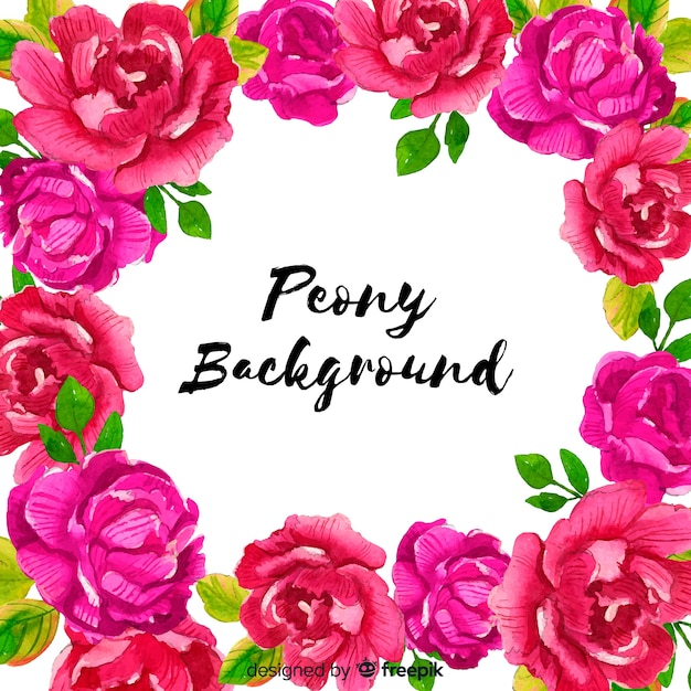 Watercolor peony flowers background