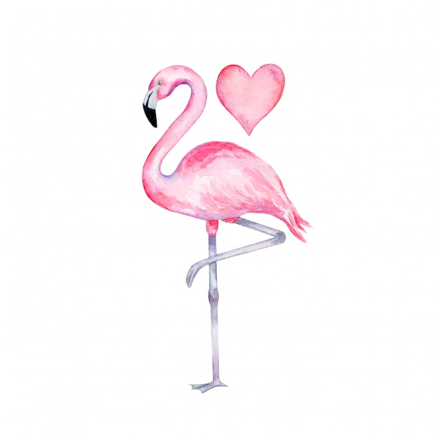 Download Watercolor pink flamingo standing on one leg with a heart ...