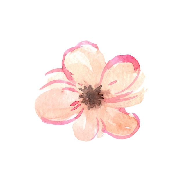 Premium Vector | Watercolor pink flower