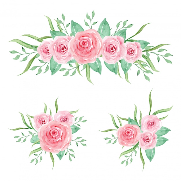 Premium Vector | Watercolor pink roses collection