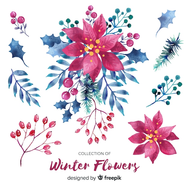 Watercolor Poinsettia Collection | Free Vector