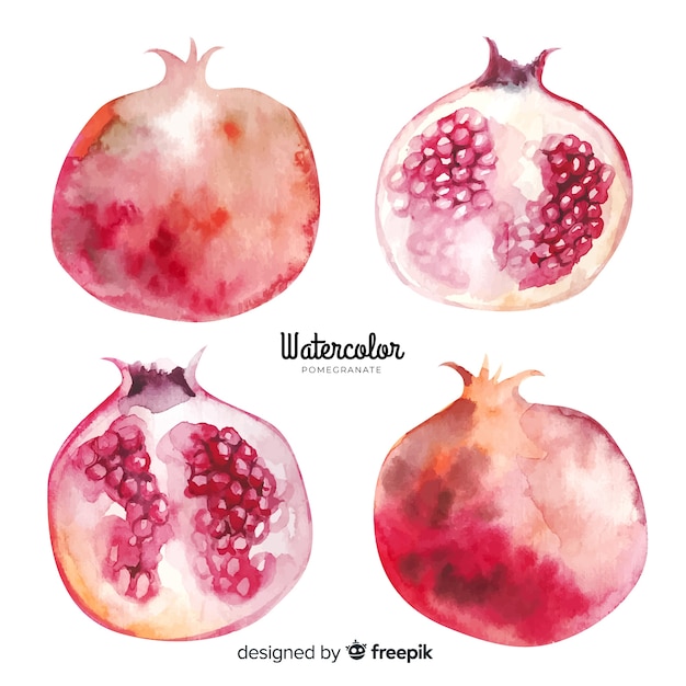 Watercolor pomegranate set Vector | Free Download