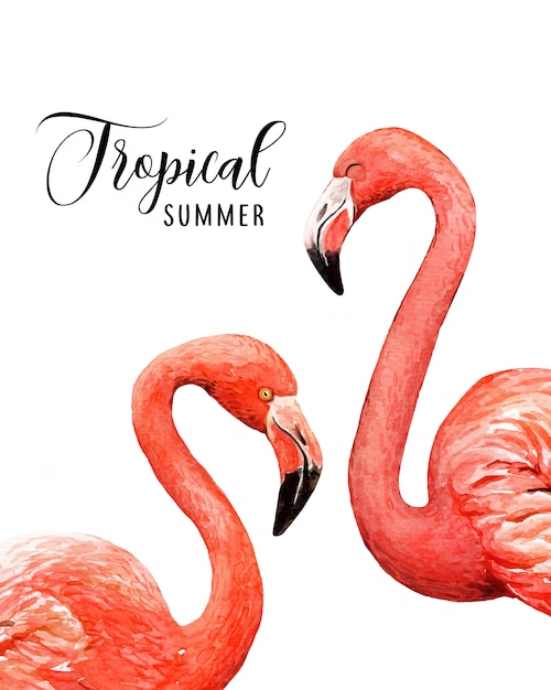 Download Watercolor portrait tropical flamingo birds. | Premium Vector