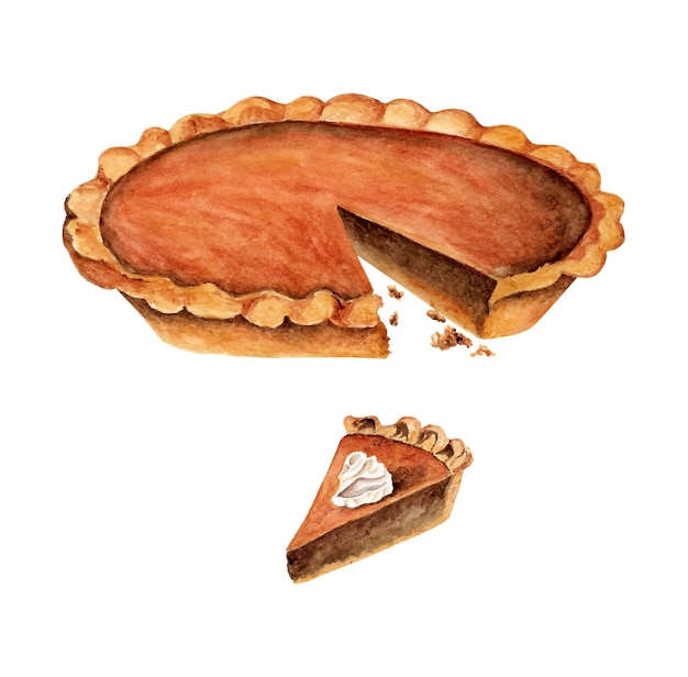 Download Premium Vector | Watercolor pumpkin pie