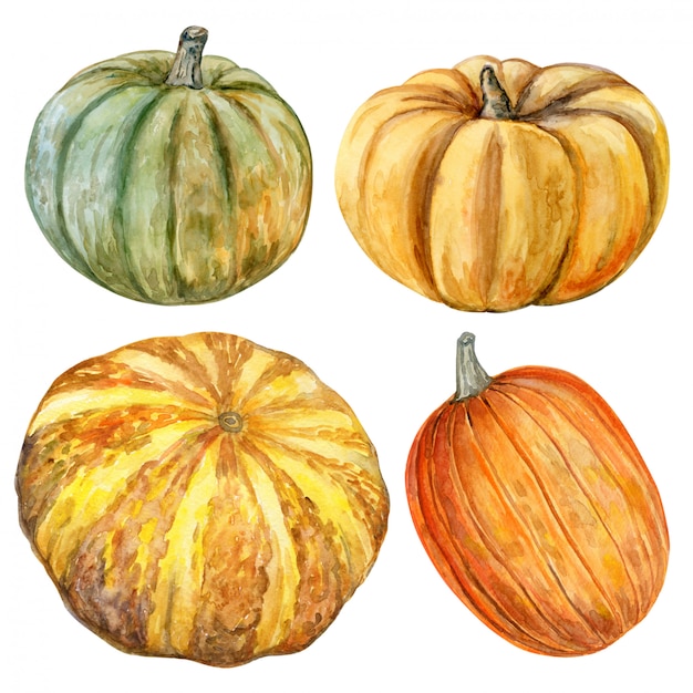 Download Premium Vector | In watercolor pumpkins set