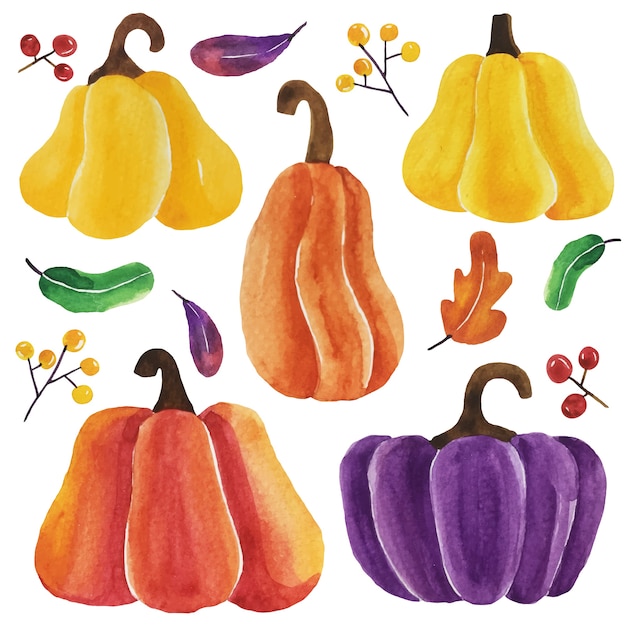 Download Watercolor pumpkins vector | Premium Vector