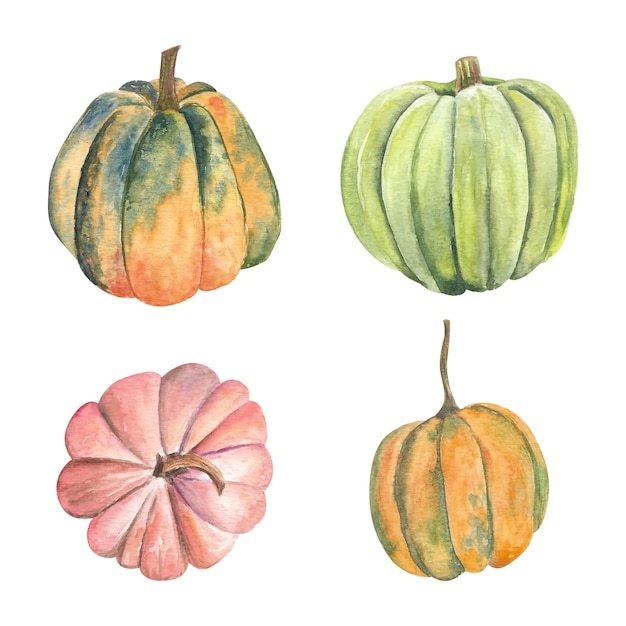 Download Premium Vector | Watercolor pumpkins