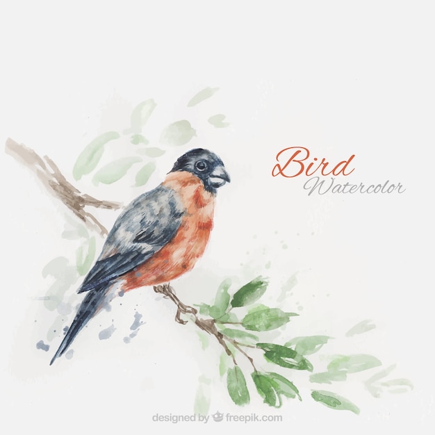 Watercolor realistic bird on a branch background - Stock Image - Everypixel