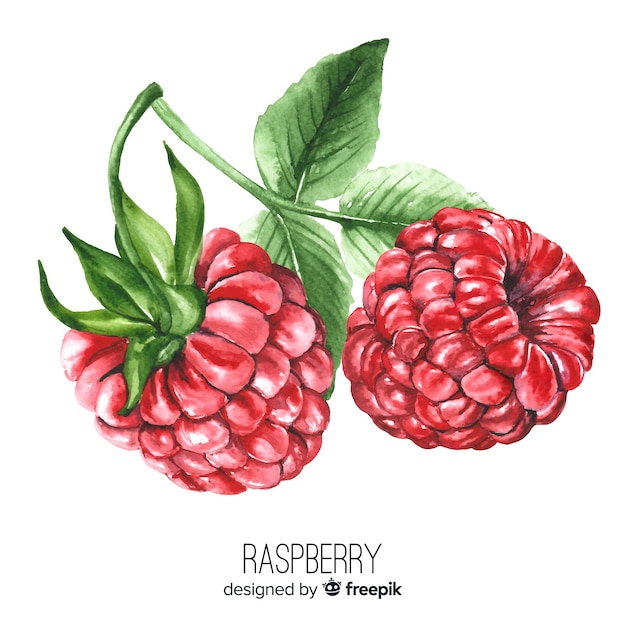 Watercolor realistic raspberry background Free Vector