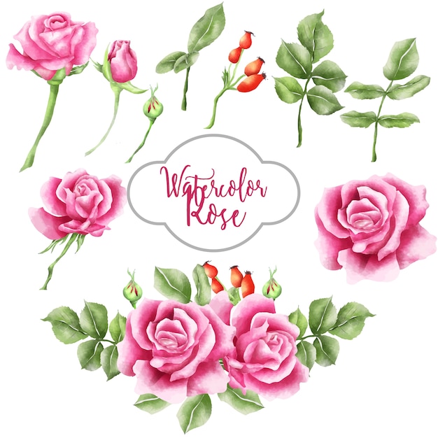 Download Watercolor rose pink set, bouquet rose Vector | Premium Download