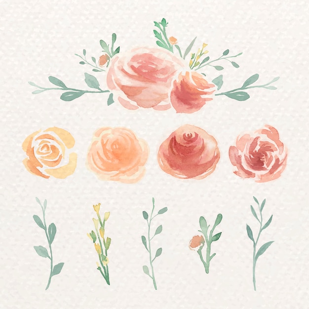 Download Free Vector | Watercolor rose set