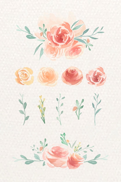 Download Watercolor rose set Vector | Free Download