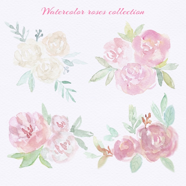 Download Watercolor roses set | Premium Vector