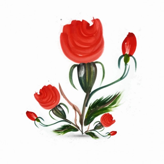 Download Watercolor roses | Free Vector