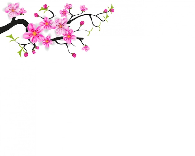 水彩桜フレーム 花の桜の木の枝の背景 プレミアムベクター