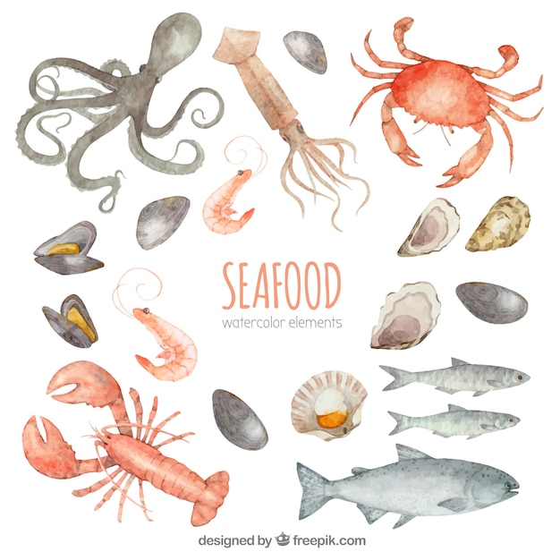 Watercolor seafood collection Free Vector