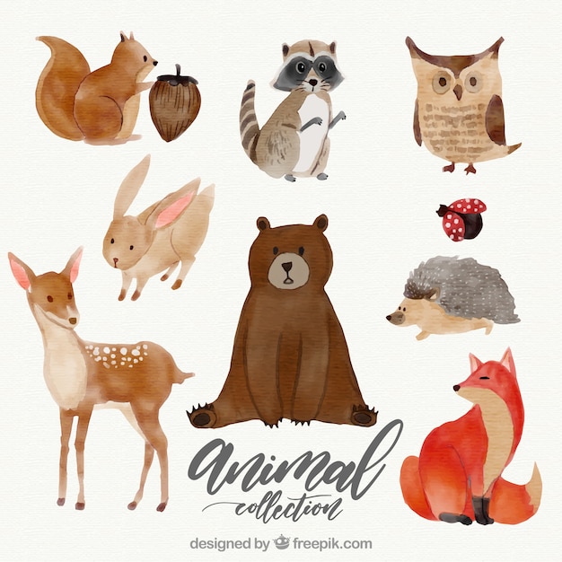 Download Watercolor set of lovely animals | Free Vector