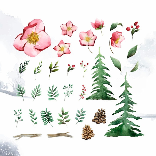 Watercolor set of winter flowers and leaves\
vector