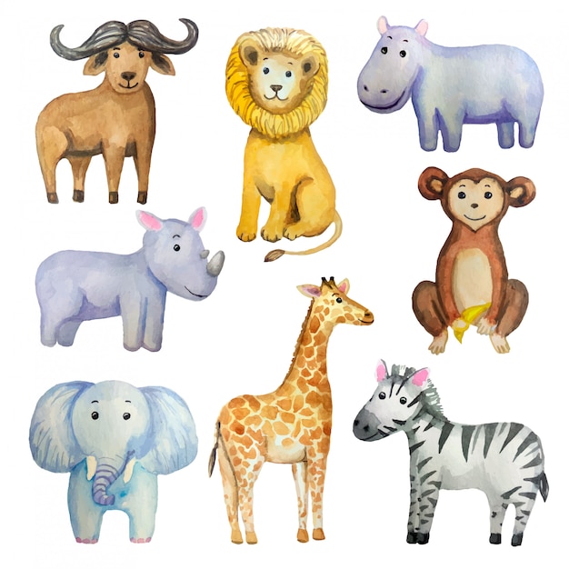 Watercolor set of tropical exotic animals: elephant, giraffe, lion, monkey, zebra, hippo, rhino, buf