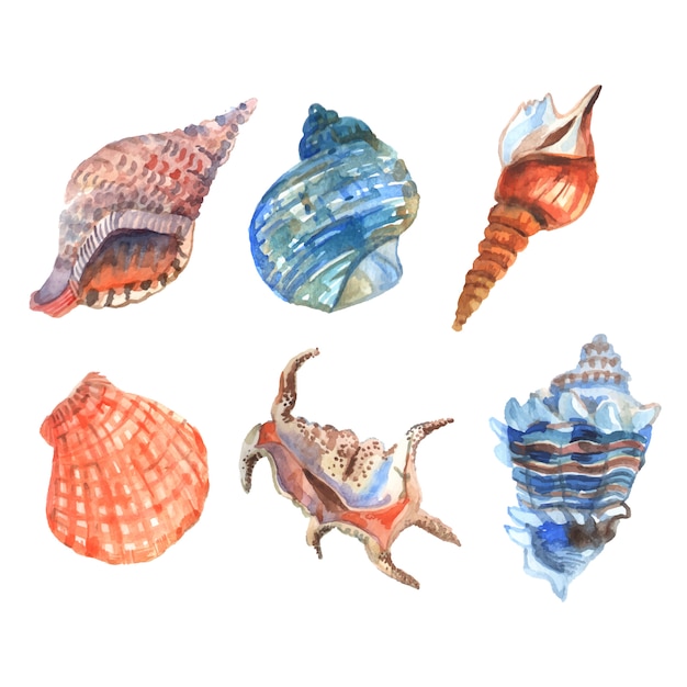 Watercolor shell starfish cockleshells decorative icons set isolated vector illustration Free Vector