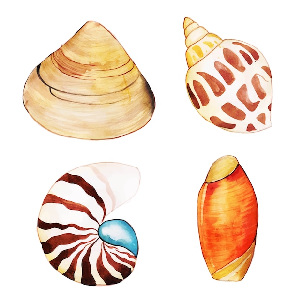 premium-vector-watercolor-shells-collection
