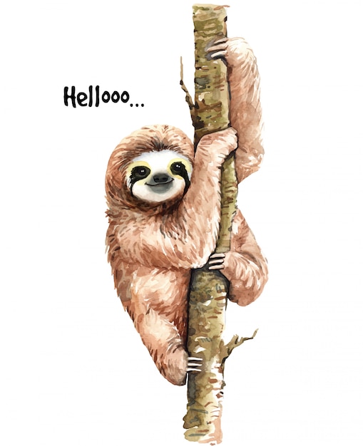 Download Premium Vector | Watercolor sloth illustration. tropical ...