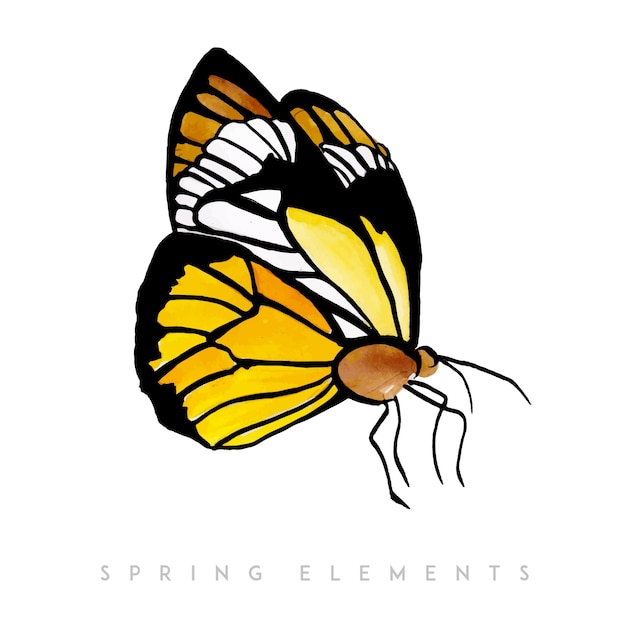 Download Watercolor spring butterfly collection | Free Vector