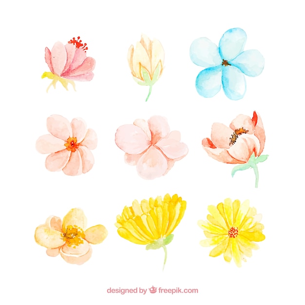 Download Watercolor spring flower collection of nine Vector | Free ...