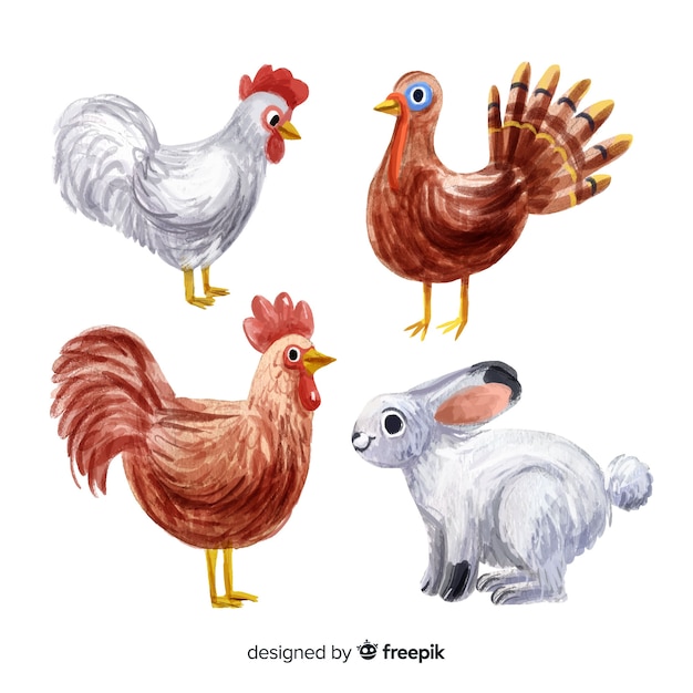 Download Watercolor style farm animal collection Vector | Free Download