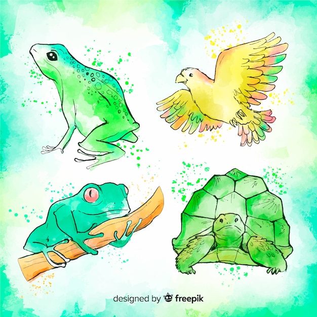 Download Watercolor style tropical animal collection Vector | Free Download