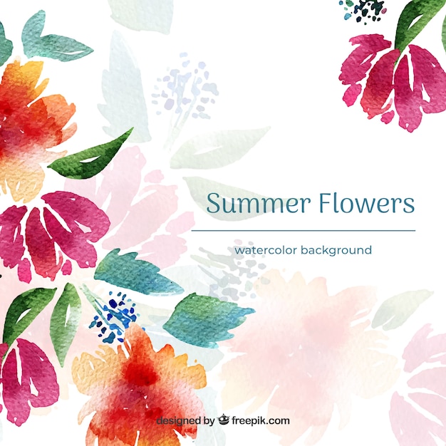 Watercolor summer flowers background