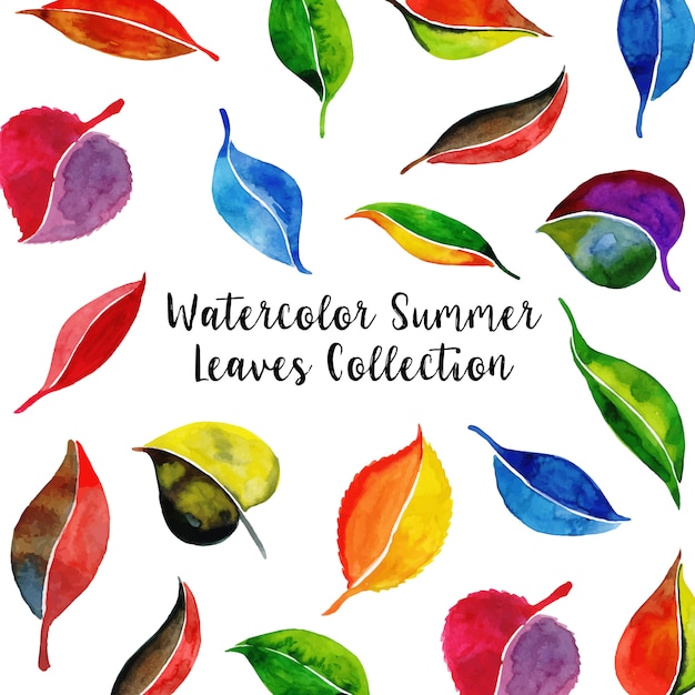 Watercolor Summer Leaves Collection\
Background