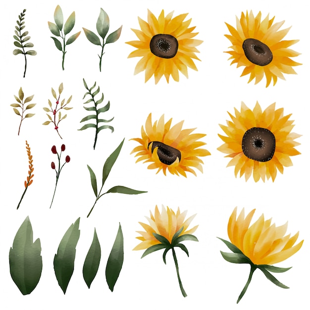 Download Premium Vector | Watercolor sunflower element collection