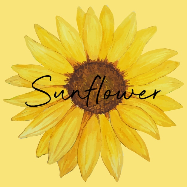 Download Watercolor of sunflower, hand drawn floral illustration ...