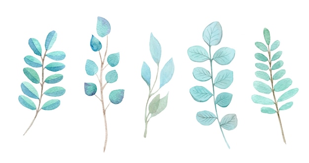 Premium Vector | Watercolor turquoise branches and leaves set isolated