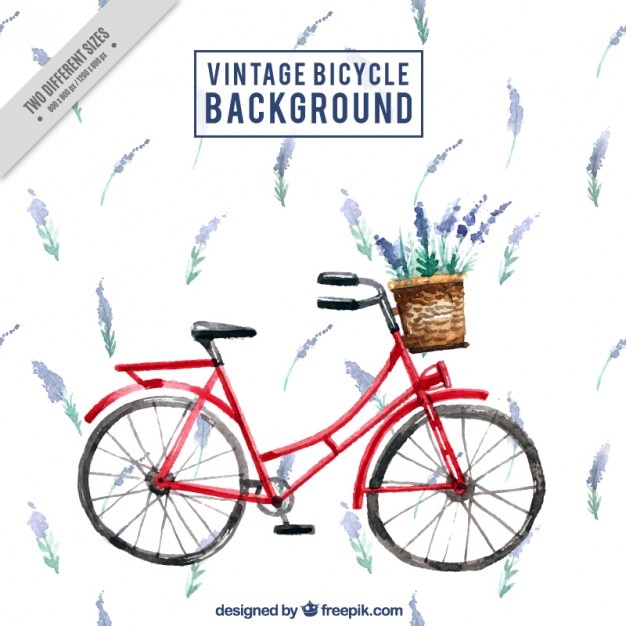 Watercolor vintage bicycle with lavander\
background
