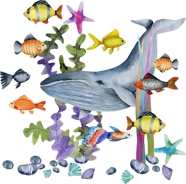 水彩のクジラと魚のイラスト プレミアムベクター