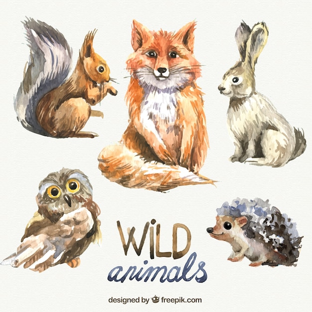 Watercolor wild animals | Free Vector